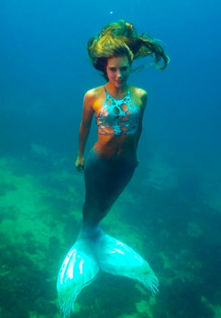 UNDERWATER PHOTOGRAPHY Bruxelles UNDERWATER PHOTOGRAPHY Bruxelles
